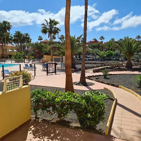 Apartment Oasis Royal F217 *